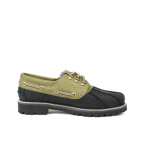 Oregon Olive