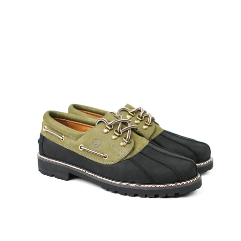 Oregon Olive